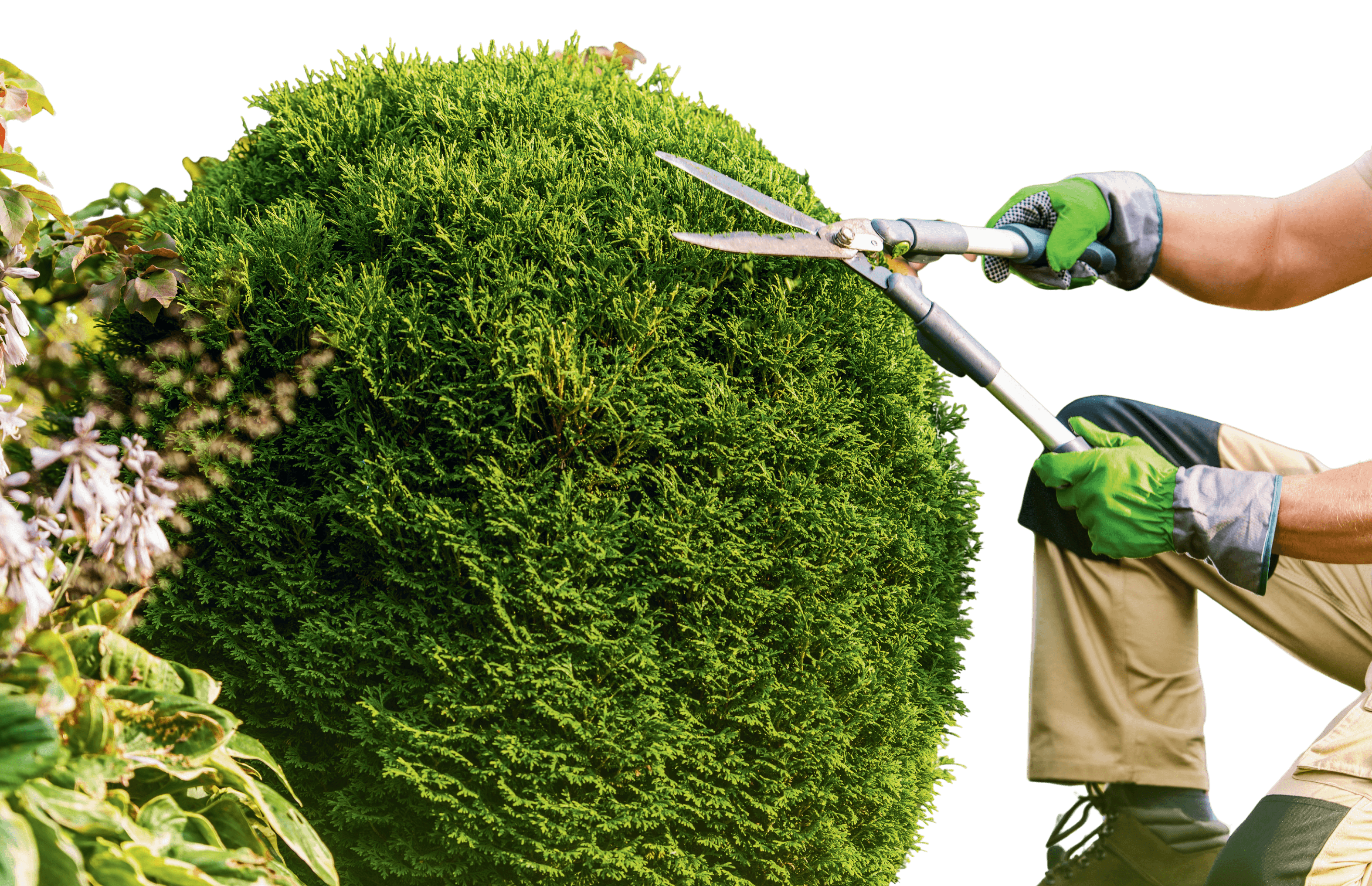 Garden soil & sand supply